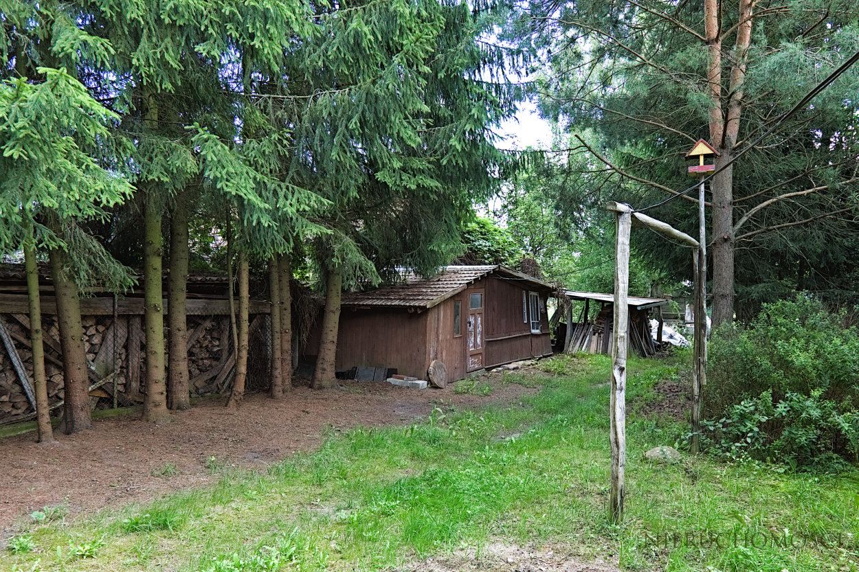 bwz_04