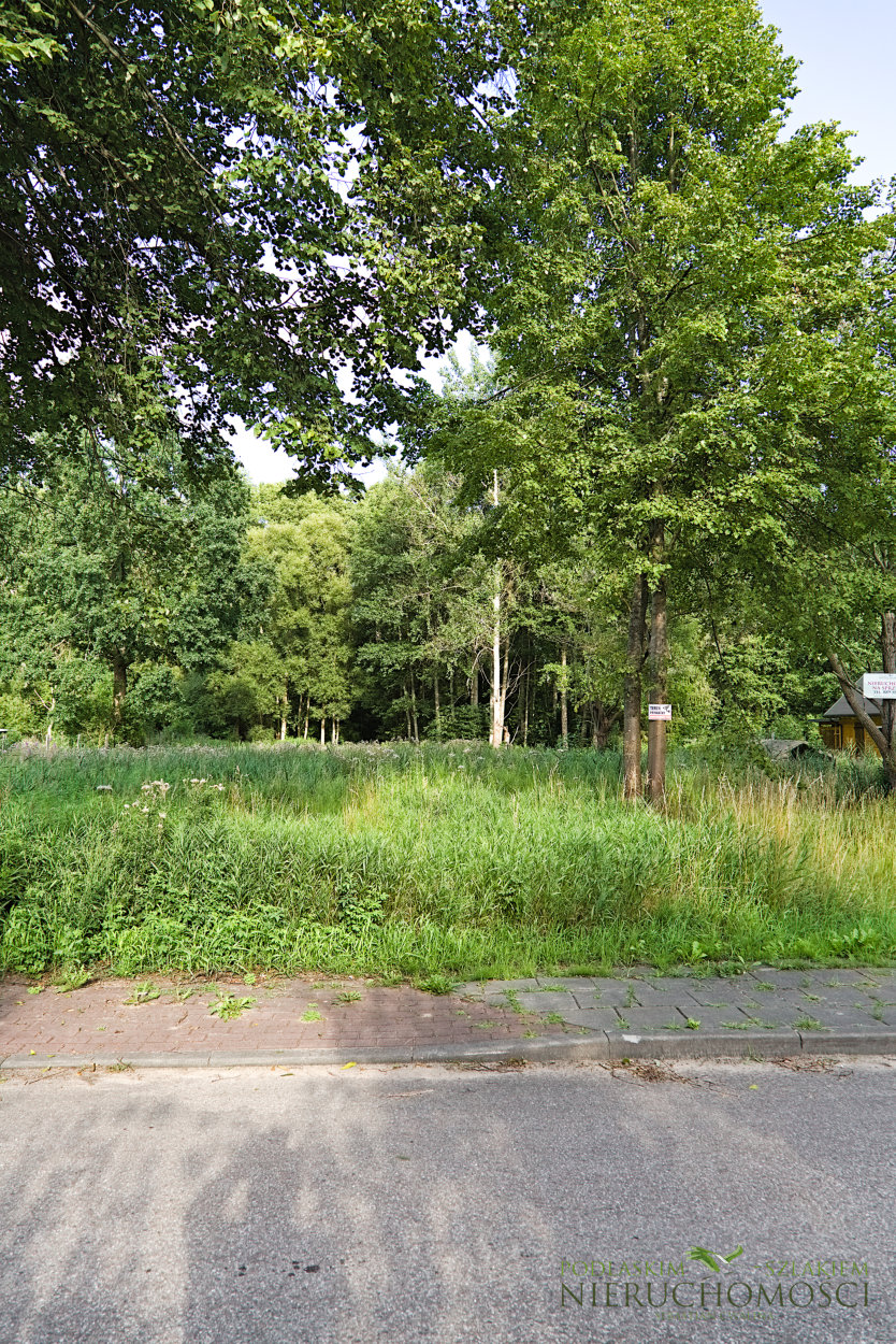 dz1_07