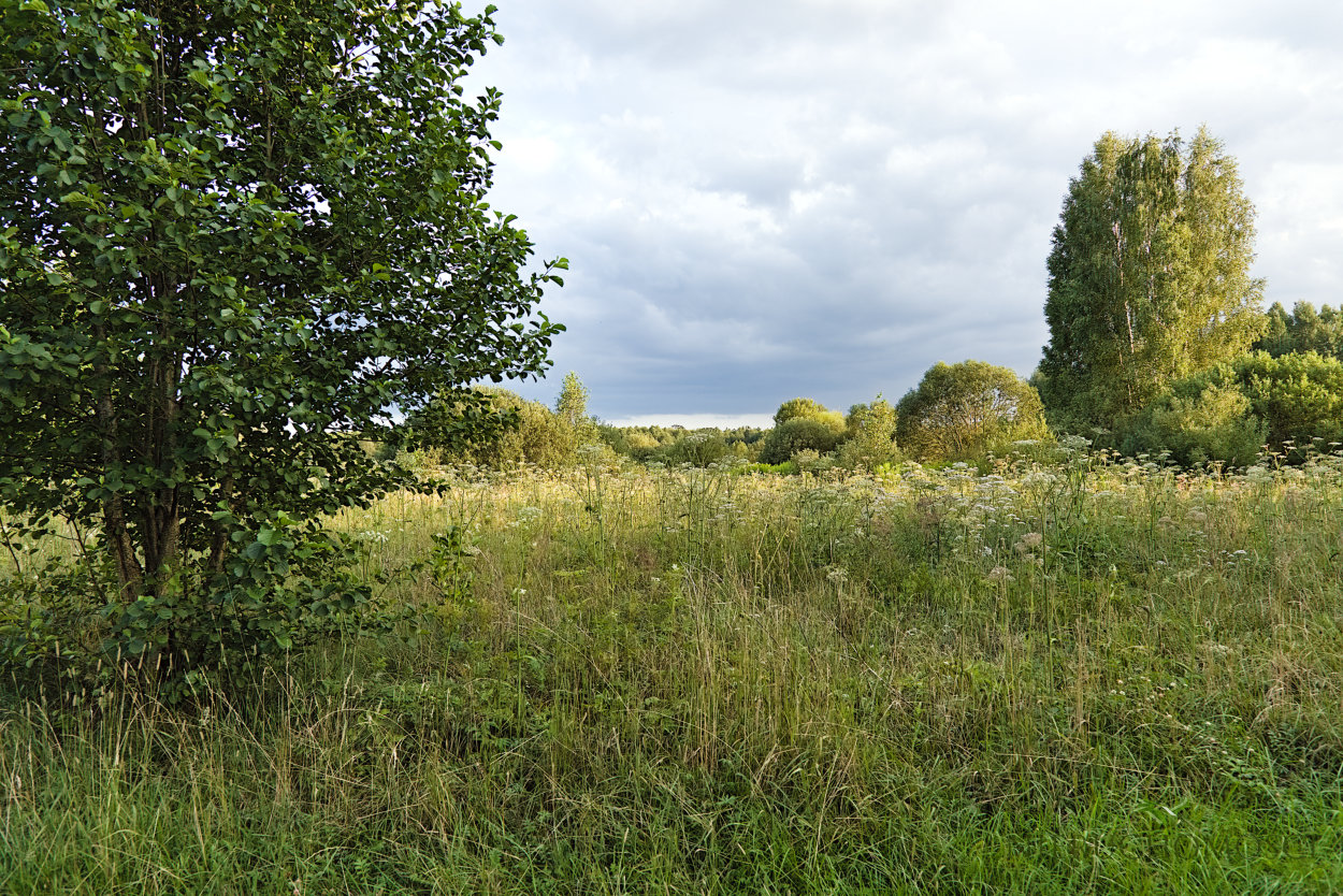 olch2_04