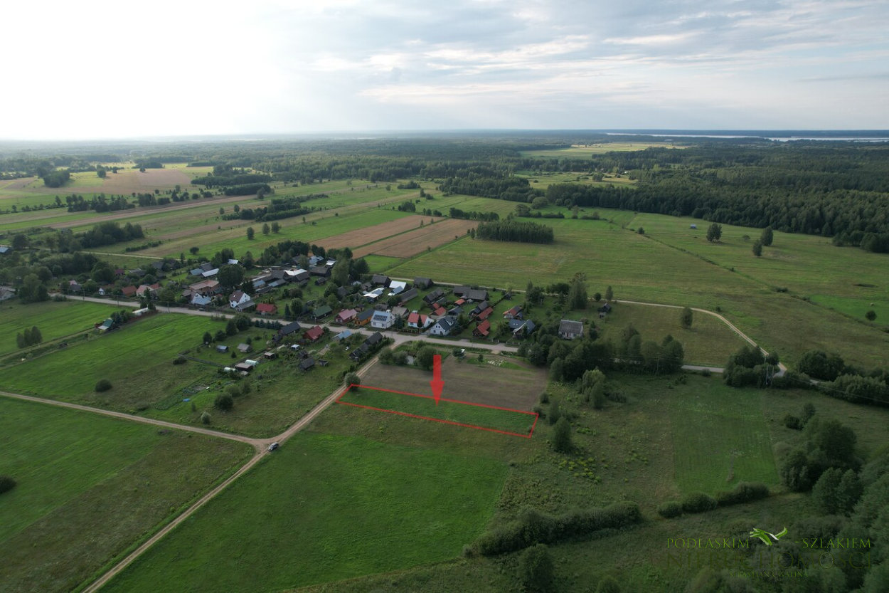olch_06