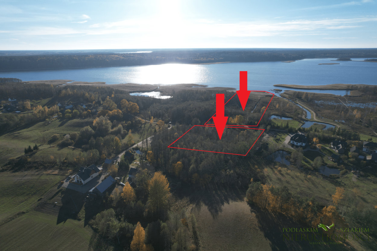 rosrog_01