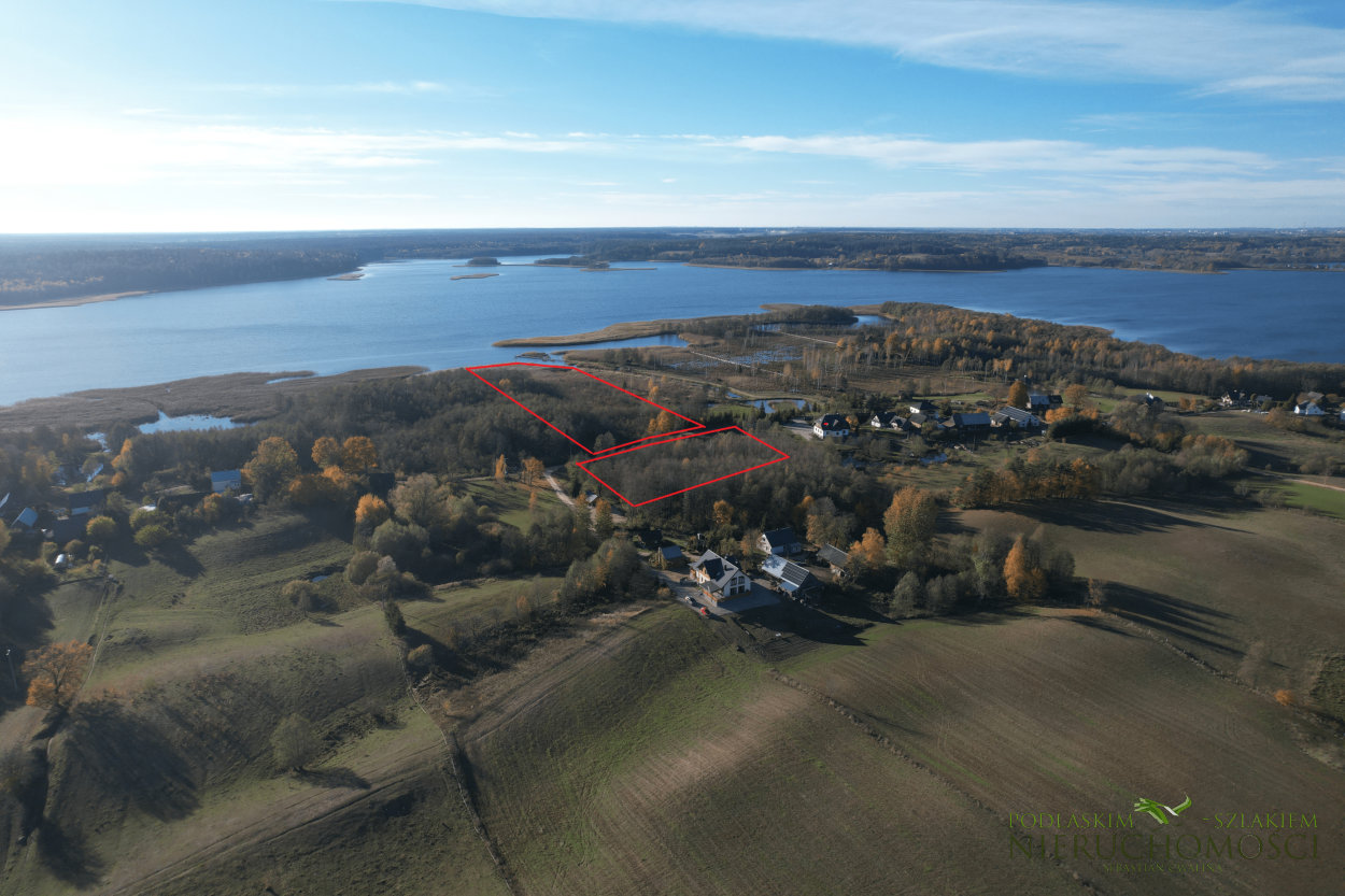 rosrog_03