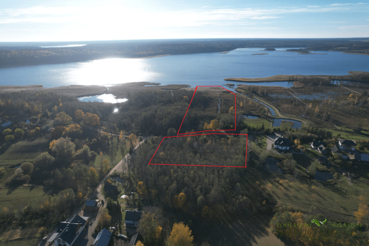 rosrog_05