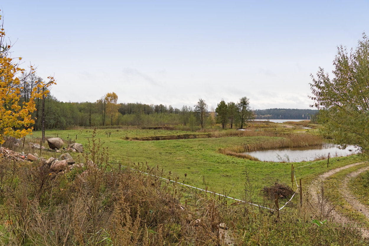 rosrog_13
